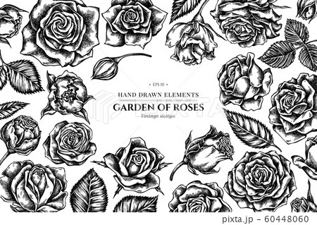 花 バラ 白黒 薔薇のイラスト素材