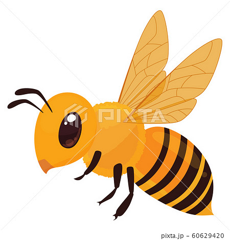 蜂 虫 昆虫 ベクターのイラスト素材