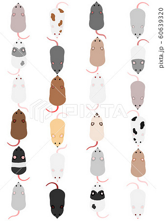 上から見下ろすのイラスト素材