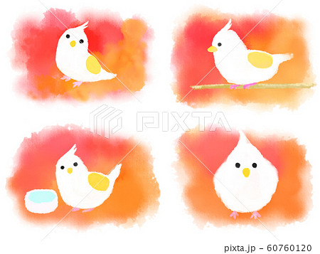 水彩タッチのかわいいインコのイラスト素材