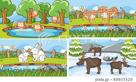 子供 チーター かわいい 動物 サファリパーク 動物園のイラスト素材
