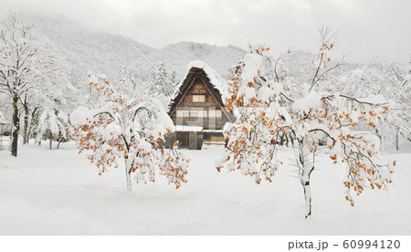 冬の白川郷の写真素材