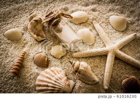 貝殻 夏イメージ ベージュ 背景素材の写真素材