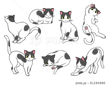 白黒猫のイラスト素材