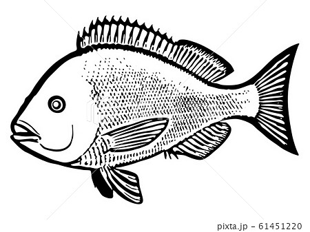 魚 白黒 サカナ イラストのイラスト素材