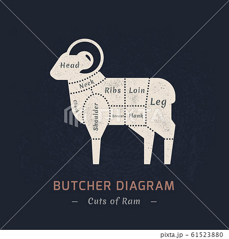 Cutting Ram Meat Painted In A Vector のイラスト素材