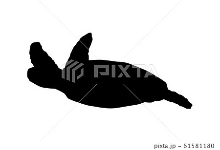 シルエット 亀 カメ イラストのイラスト素材