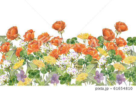 バラ 薔薇 のイラスト素材集 ピクスタ