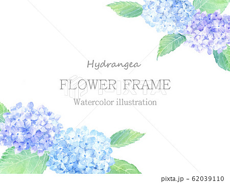 紫陽花 水彩 フレーム 枠のイラスト素材