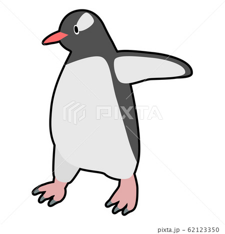 ペンギン ジェンツーペンギン かわいい イラストの写真素材