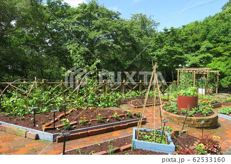 神戸布引ハーブ園 布引ハーブ園 家庭菜園ポタジェ 兵庫県の写真素材