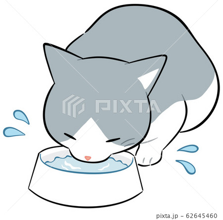 動物 猫 飲み水 水分補給のイラスト素材