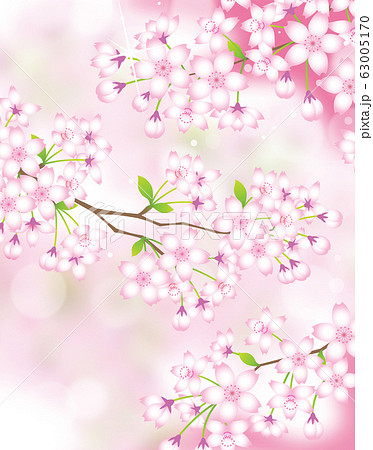 花 桜 春 壁紙のイラスト素材