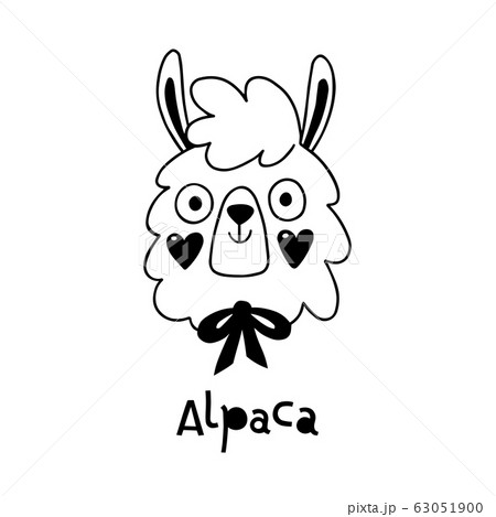 アルパカ 動物 顔 イラストの写真素材