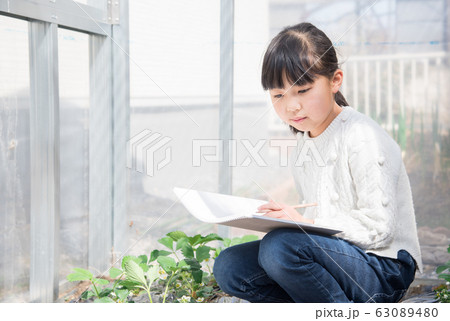 小学三年生女子の写真素材