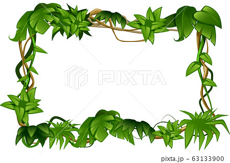 つる性植物のイラスト素材