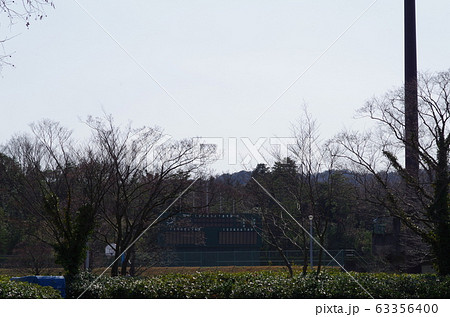 野球 ポール ホームラン ファールの写真素材