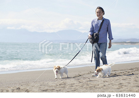 シニア 犬 散歩 おじいさんの写真素材