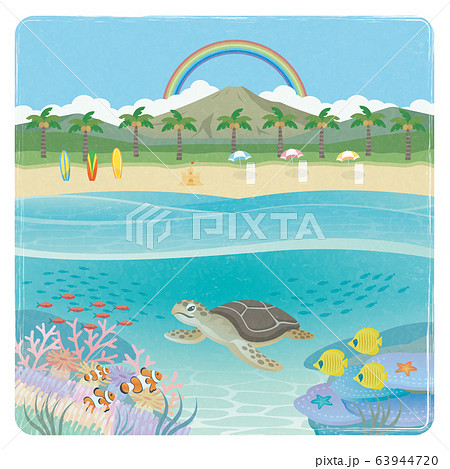 ウミガメ ハワイのイラスト素材 Pixta