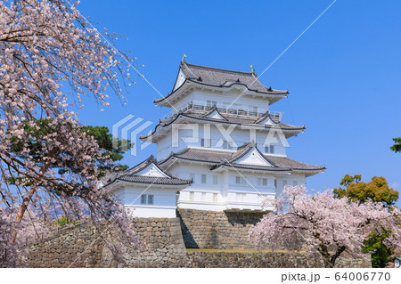 小田原城の写真素材