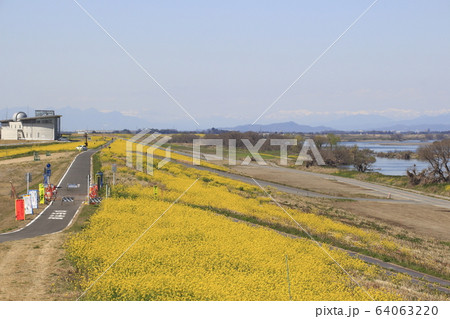 埼玉大橋の写真素材