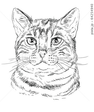 Hand drawn bengal cat. Sketch for anti-stress adult coloring book in  zen-tangle style. Vector illustration for coloring page. Stock Vector |  Adobe Stock