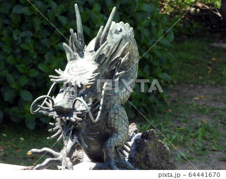 像 龍 竜 角の写真素材