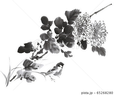 鳥 小鳥 水墨画 イラストの写真素材 - PIXTA