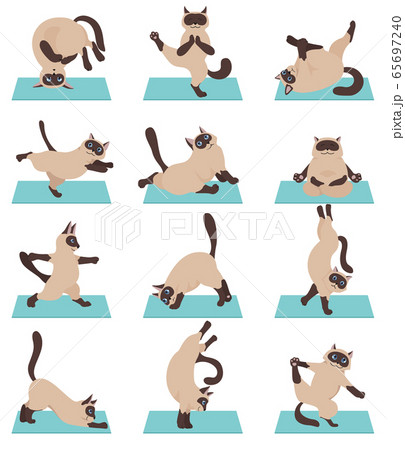猫のポーズ集のイラスト素材