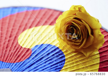 三太極 うちわ 三色の写真素材