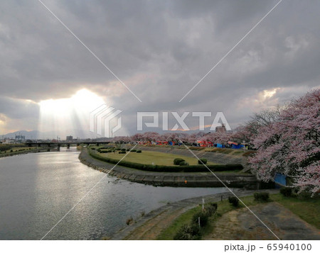 海蔵川さくらまつりの写真素材