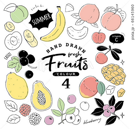 夏の果物の写真素材 夏の果物の写真素材