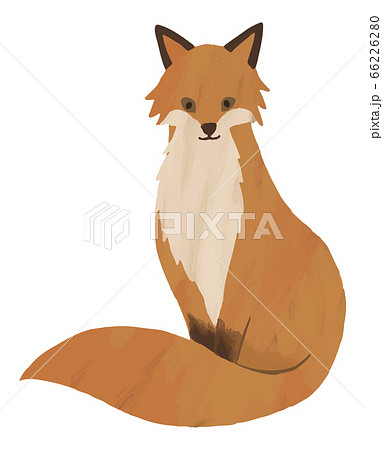 稲荷狐のイラスト素材