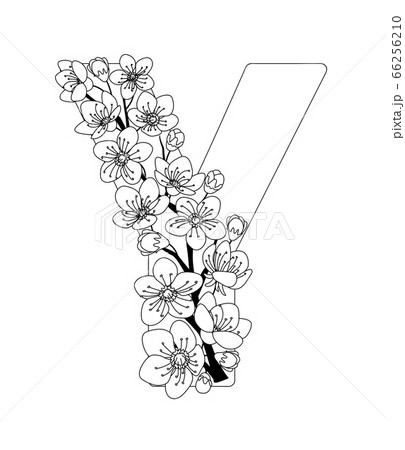 アルファベット Y 装飾アルファベット 桜のイラスト素材