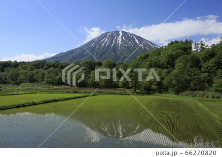 倶知安町 雲 羊蹄山 蝦夷富士の写真素材 - PIXTA