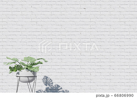 壁 白壁 白 煉瓦のイラスト素材