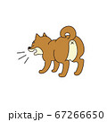 柴犬 犬 ポーズ 表情 威嚇のイラスト素材