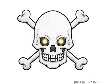 ドクロ 骸骨 骨 素材のイラスト素材