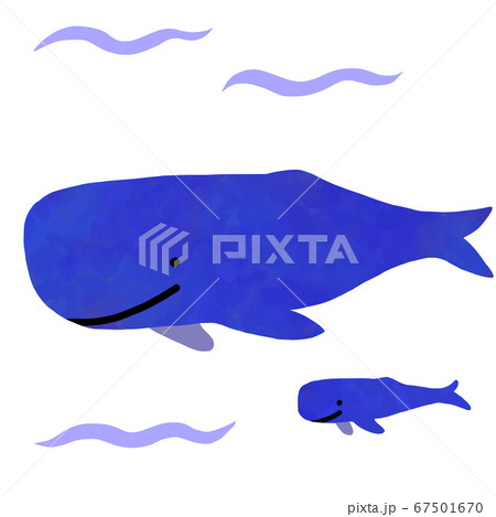 マッコウクジラのイラスト素材