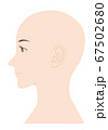 女性のスキンヘッド 正面と後頭部 イラストのイラスト素材