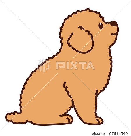 といぷーのイラスト素材