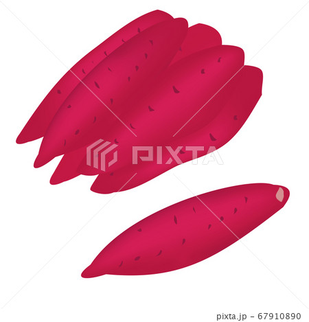 さつまいものイラスト素材集 ピクスタ