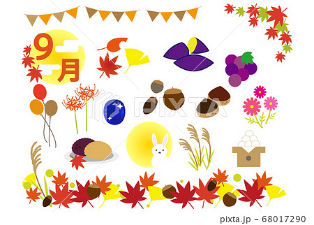 彼岸花 秋 花 植物のイラスト素材