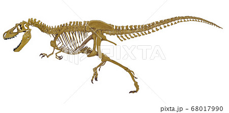 恐竜骨格のイラスト素材