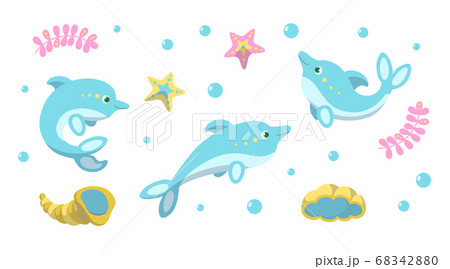 いるか 美しい 綺麗 きれいのイラスト素材