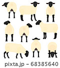動物 羊 全身 リアルのイラスト素材