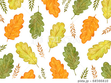 かしわの葉のイラスト素材