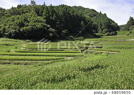 兵庫県 佐用町 棚田 乙大木谷の写真素材