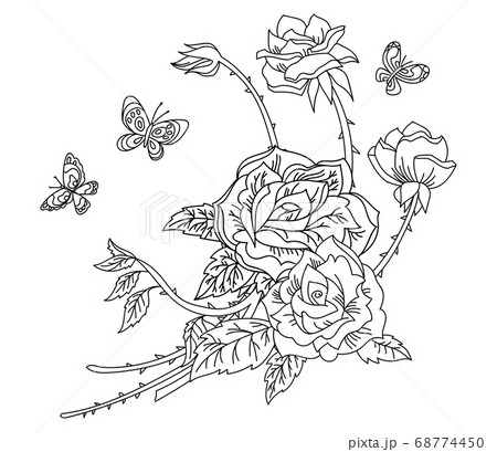 花 蝶 イラスト 白黒の写真素材