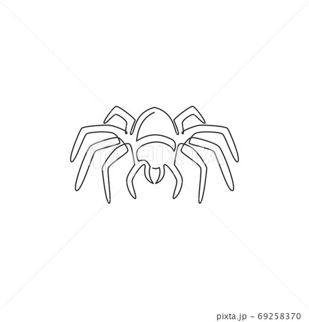 抽象的なタランチュラのイラスト素材